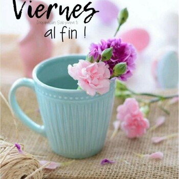 flores con frases (831)