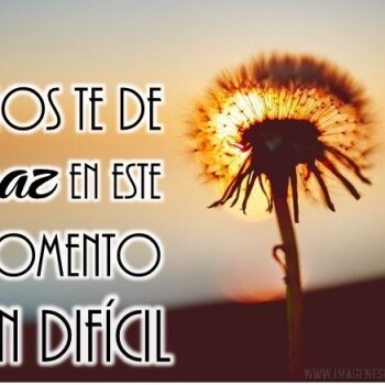 imagenes-frases-luto (765)