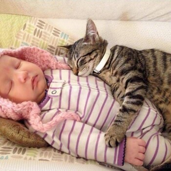 imagenes-de-bebes (287)