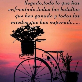 frases consejos (1200)