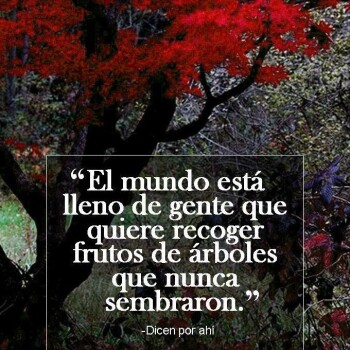 imagenes de reflexion whatsapp (1558)