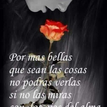 flores con frases (864)