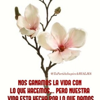 flores con frases (727)