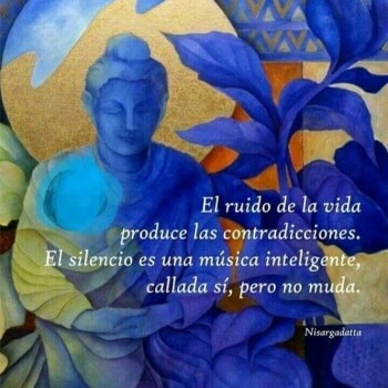 frases-verdaderas- (1556)