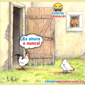 imagenes con chistes (2187)