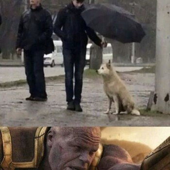 imagenes-de-memes (1039)