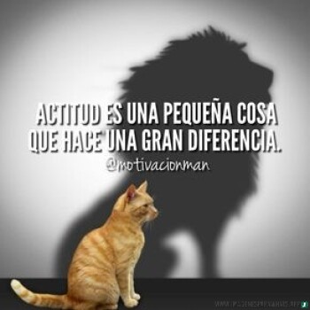 frases-de-la-vida (870)