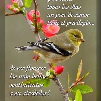 imagenes de buenos dias (758)