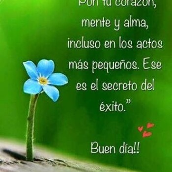 imagenes de buenos dias (766)