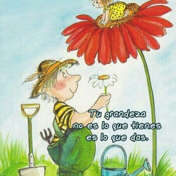 frases consejos (1261)