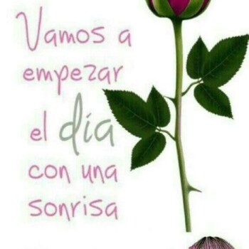 imagenes de buenos dias (1029)