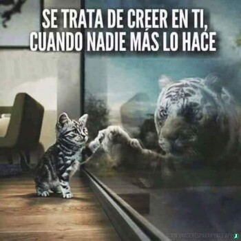 frases-verdaderas- (1550)
