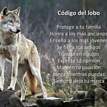 imagenes frases variadas (1071)