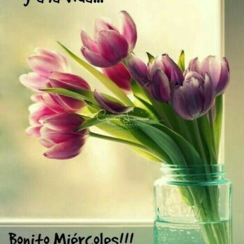 flores con frases (714)