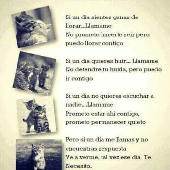 imagenes con poemas (1966)
