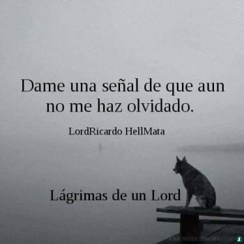 frases desamor (994)