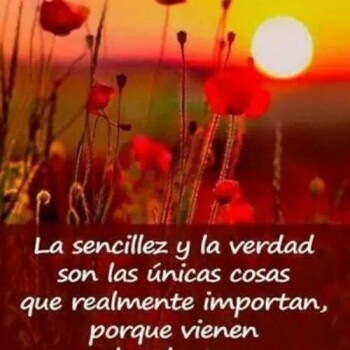 imagenes-de-humildad (16)