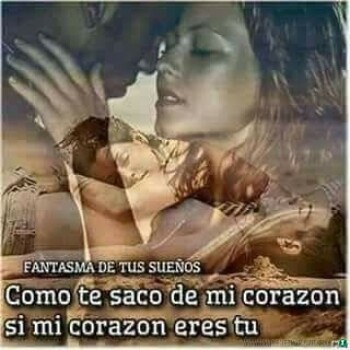 f99211bcb02c3d9ff3f35462b8dfeeb0