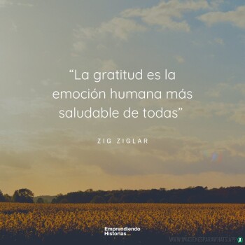 Imagenes de Agradecimiento (812)