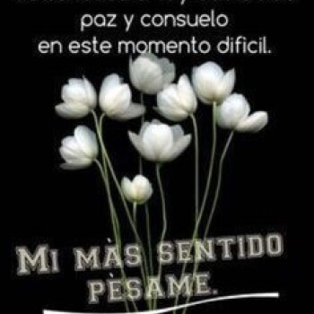imagenes-frases-luto (806)