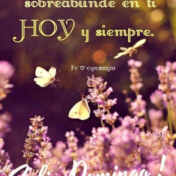imagenes de buenos dias (936)