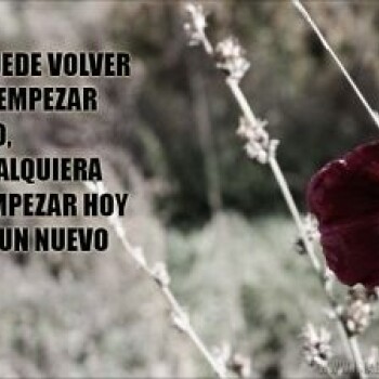 imagenes-celebres- (2005)