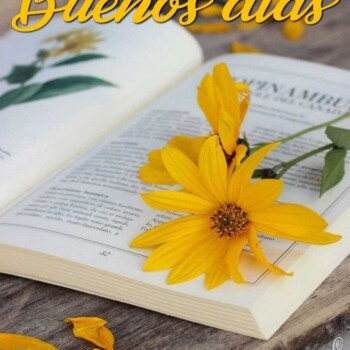 flores con frases (765)