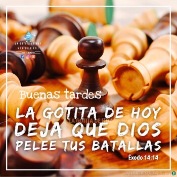 imagenes de buenas tardes (1596)