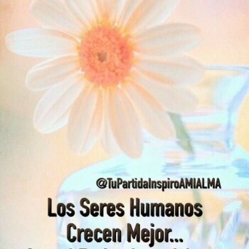 flores con frases (855)