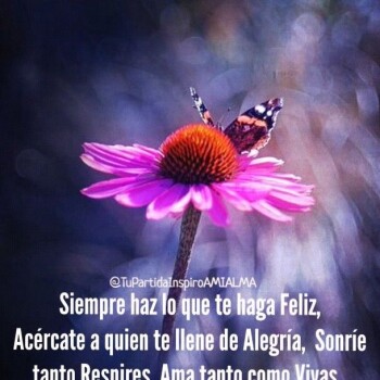 flores con frases (735)