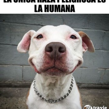 frases-de-la-vida (783)
