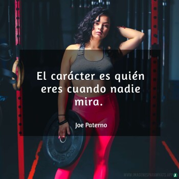 Imagenes de Gimnasio (731)