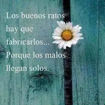 imagenes de felicidad (787)