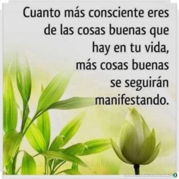 Frases de Agradecimiento (12)