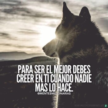 frases-verdaderas- (1653)
