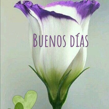 imagenes de buenos dias (756)
