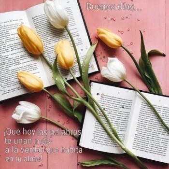 imagenes de buenos dias (900)