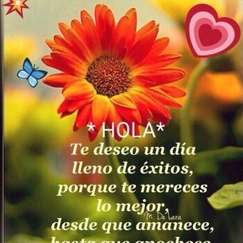 flores con frases (703)