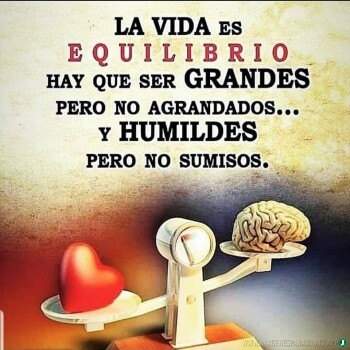 imagenes de humildad (150)