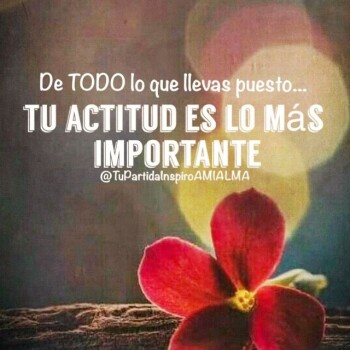 flores con frases (823)