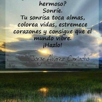 frases consejos (1229)
