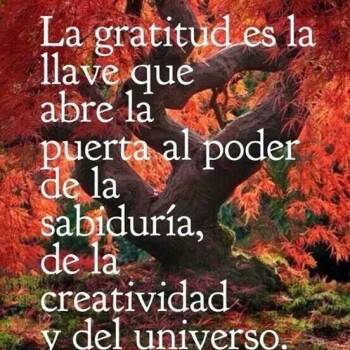 Imagenes de Agradecimiento (764)