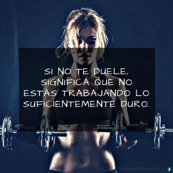 Imagenes de Gimnasio (853)