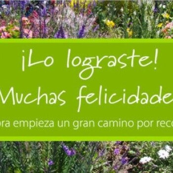 Imagenes de Graduacion (11)