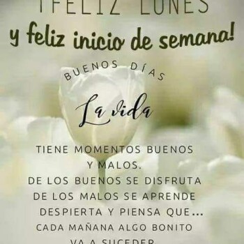 flores con frases (788)