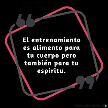 Imagenes de Gimnasio (756)