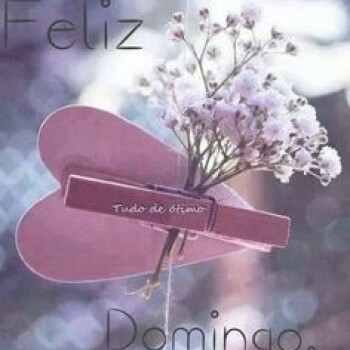 flores con frases (764)