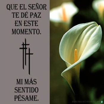 imagenes-frases-luto (753)