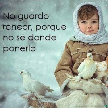 frases-verdaderas- (1606)