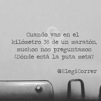 frases consejos (1340)